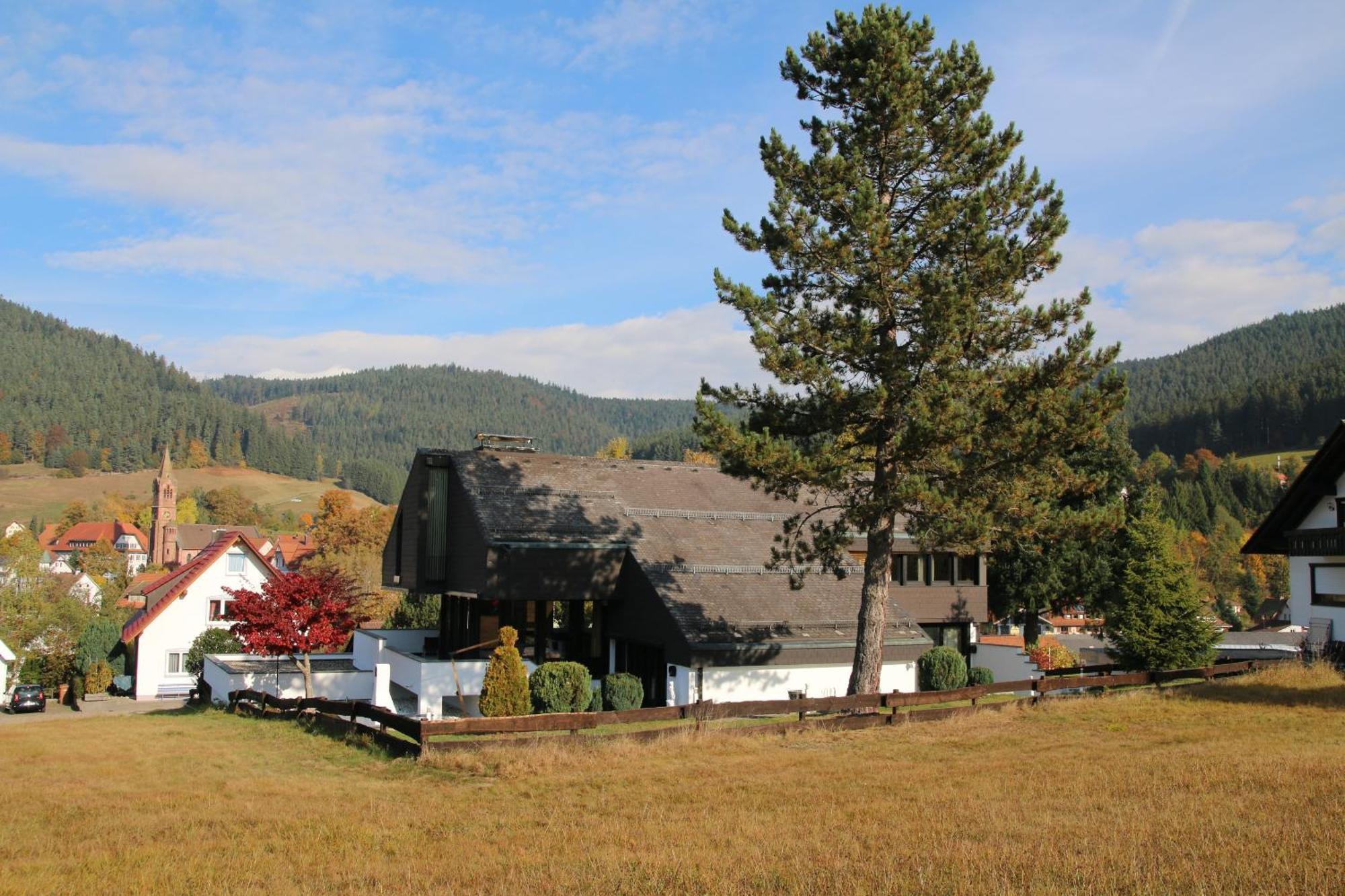 Luxus-Landhaus Im Schwarzwald/Baiersbronn Mit Pool Экстерьер фото