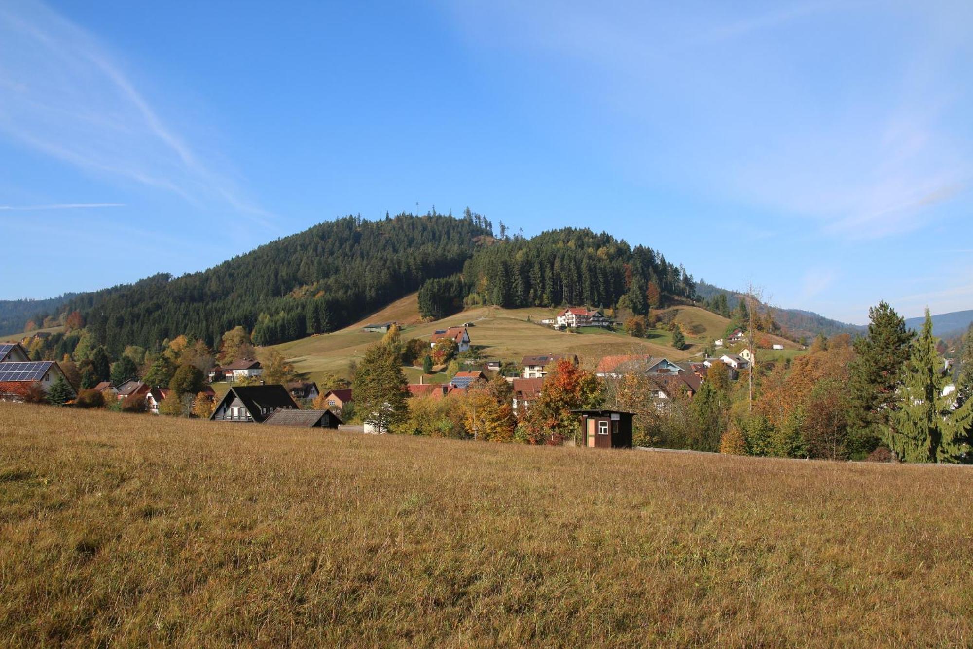 Luxus-Landhaus Im Schwarzwald/Baiersbronn Mit Pool Экстерьер фото